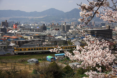 戸坂～矢賀間のキハ40系と桜