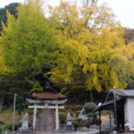 客人神社 2024年11月16日