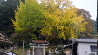 客人神社 2024年11月16日