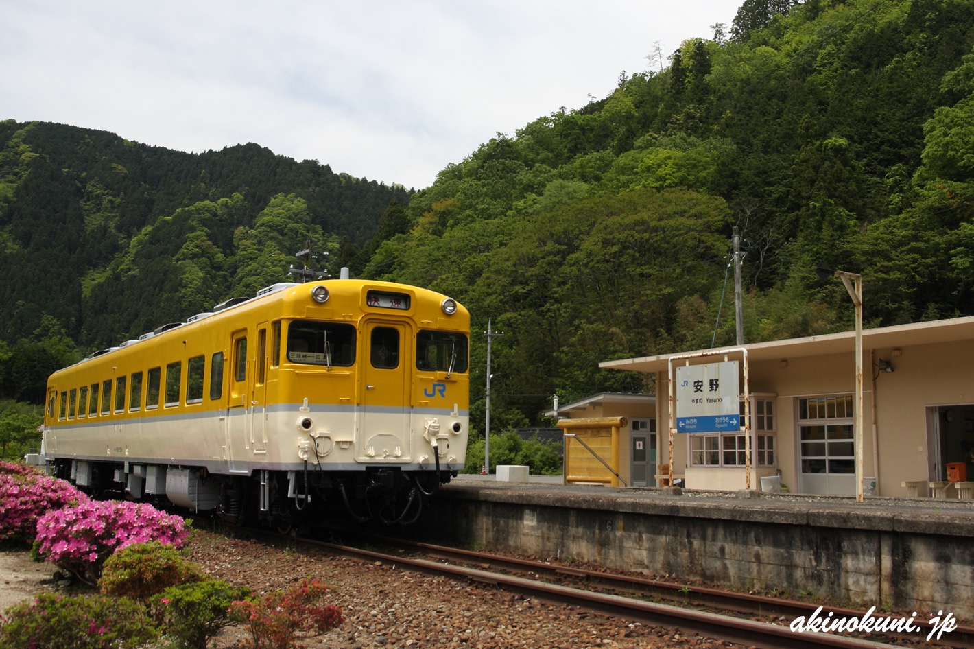 安野花の駅公園 キハ58系 2010年5月15日