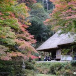 吉水園 2024年11月16日