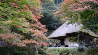 吉水園 2024年11月16日